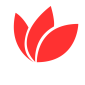 medidaprime-1.png