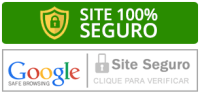 site-seguro-google.png